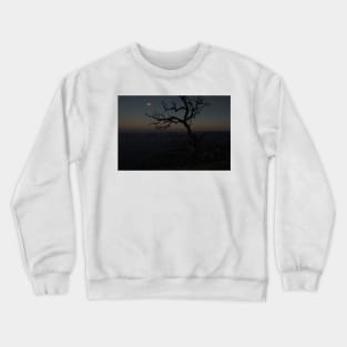 850_8831 Crewneck Sweatshirt